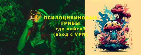 твердый Алексеевка