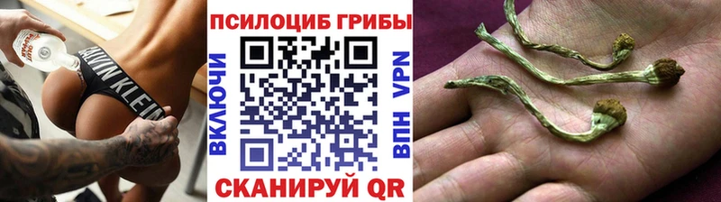 Галлюциногенные грибы Magic Shrooms  площадка какой сайт  Муром  ссылка на мегу маркетплейс 